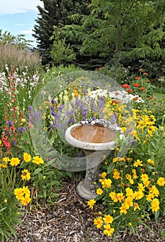 Landscaped yard with flowers and bird bath