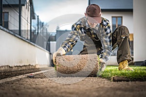 Landscaper Installing Natural Grass Turf