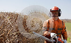 Landscaper man worker in uniform with Hedge Trimmer equipment during Bush cutting works