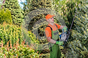 Landscaper Shaping Trees Using Hedge Trimmer