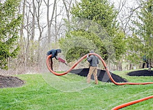 Landscapers Blowing Mulch under Pine Tree on Overcast Day