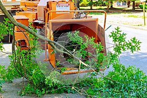 Landscapers using chipper machine to remove and haul chainsaw