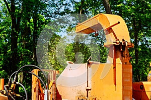 Landscapers using chipper machine to remove and haul chainsaw tree branches