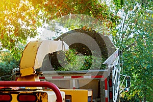 Wood chipper in chipper mulcher chips into the back of a truck photo