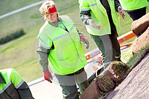 Landscapers workers laying sod rolled grass turf