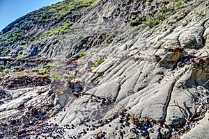 Landscapes in Alberta`s Dinosaur Provincial Park