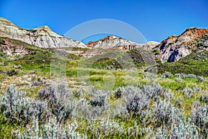 Landscapes in Alberta`s Dinosaur Provincial Park