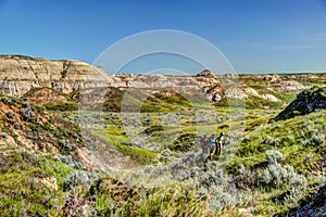 Landscapes in Alberta`s Dinosaur Provincial Park