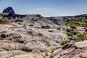 Landscapes in Alberta`s Dinosaur Provincial Park