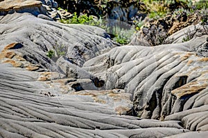 Landscapes in Alberta`s Dinosaur Provincial Park