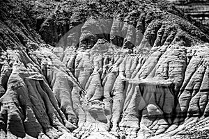 Landscapes in Alberta`s Dinosaur Provincial Park