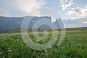 Landscapes on Alpe di Siusi with Schlern Mountain Group in Background and small cabins on the grassland in Summer during the sunse