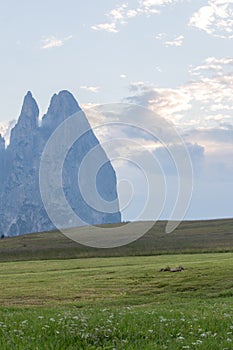 Landscapes on Alpe di Siusi with Schlern Mountain Group in Background and small cabins on the grassland in Summer during the sunse