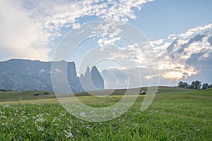 Landscapes on Alpe di Siusi with Schlern Mountain Group in Background and small cabins on the grassland in Summer during the sunse