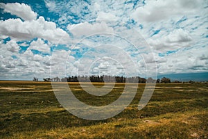 Landscapes at Amboseli National Park Africa Kenya savanna safari