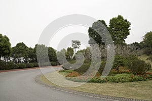 Landscapes arranged in Qingxiu mountain spring