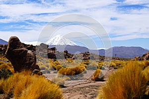 Landscapes of the Atacama Desert, Chile