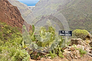 Landscapes in Barranco de Guayadeque, Gran Canaria photo