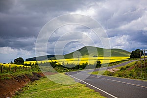 Landscapes Beautiful In Buuri Subcounty Kisima Farm Meru Nanyuki Highway Kenya East Africa