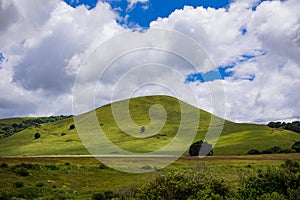 Landscapes Beautiful In Buuri Subcounty Kisima Farm Meru Nanyuki Highway Kenya East African