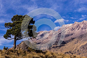 Landscapes in the beauty volcanos of Mexico