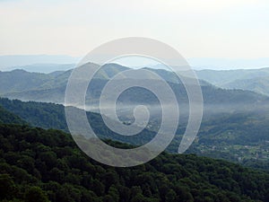 Landscapes of beech forests on the slopes of the Transcarpathian mountains of Tyachiv region.