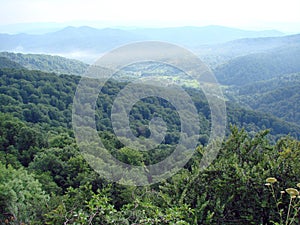 Landscapes of beech forests on the slopes of the Transcarpathian mountains of Tyachiv region.