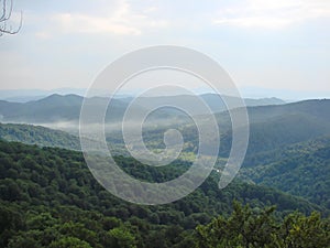 Landscapes of beech forests on the slopes of the Transcarpathian mountains of Tyachiv region.