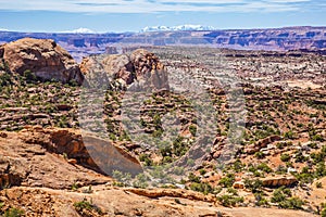 Landscapes of Canyonland National Park in Spring