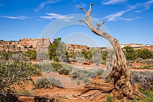 Landscapes of Canyonland National Park in Spring