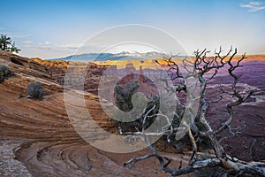 Landscapes of Canyonland National Park in Spring