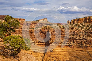 Landscapes of Canyonland National Park in Spring