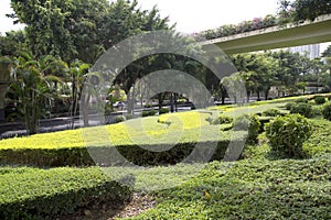 Landscapes design around viaduct in Nanning city