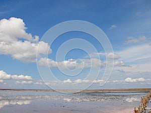 Landscapes of Genichesk pink salt lake on a background of slightly cloudy blue autumn sky.