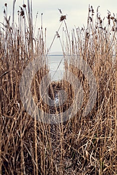 Landscapes of Kyiv sea in Kyiv region, Ukraine