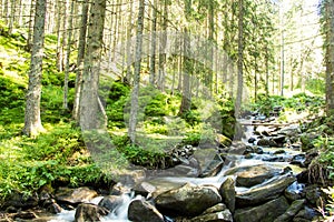 Landscapes of the mountains and Mountain river and natural green forest.