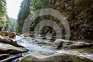 Landscapes of the mountains and mountain river and natural green forest. black and white photo.