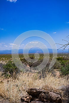 Landscapes Nature Grassland Savanna Shrub Trees Fields Meadows Environment Meru National Park Meru County Kenya East Africa