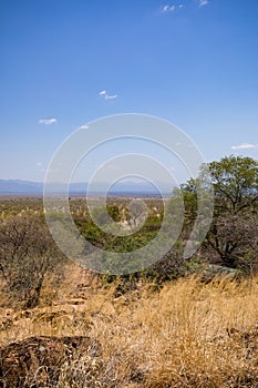 Landscapes Nature Grassland Savanna Shrub Trees Fields Meadows Environment Meru National Park Meru County Kenya East Africa