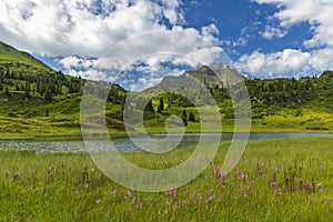 Landscapes near Kalbelesee, Hochtann Mountain Pass, Warth, Vorarlberg, Austria