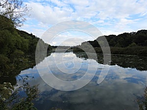 landscapes of Nottingham forest