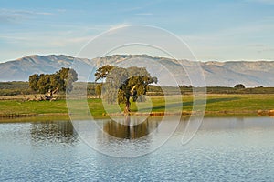 Landscapes with oaks, lake and mountains