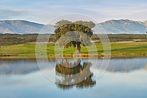 Landscapes with oaks, lake and mountains