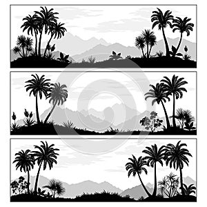 Landscapes with Palms