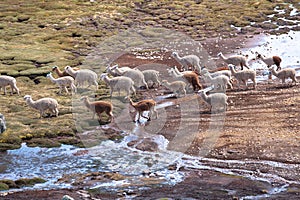 Landscapes in the Peruvian highlands photo