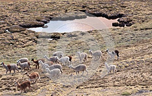 Landscapes in the Peruvian Andes