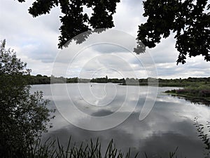 landscapes photography of Nottingham forest