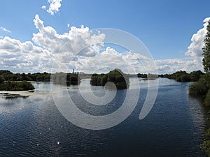 landscapes photography of Nottingham forest