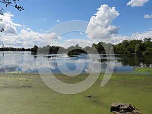 landscapes photography of Nottingham forest