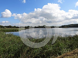 landscapes photography of Nottingham forest photo